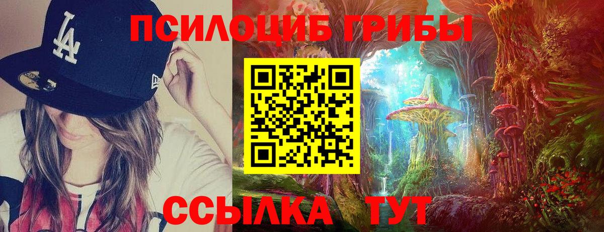 Галлюциногенные грибы прущие грибы  Вход с VPN  Майкоп 